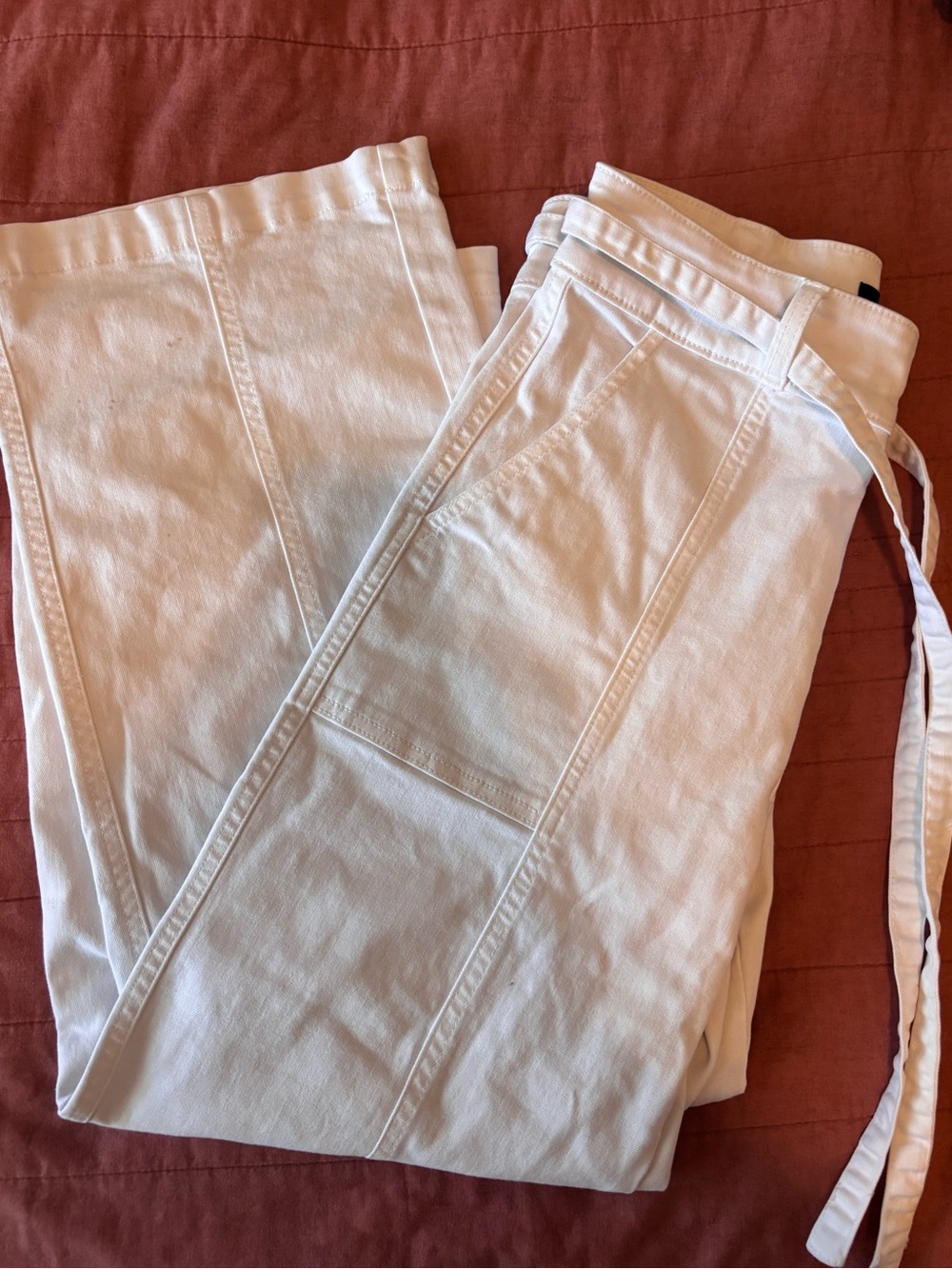 Hudson Jeans Wide Leg with Tie Waist